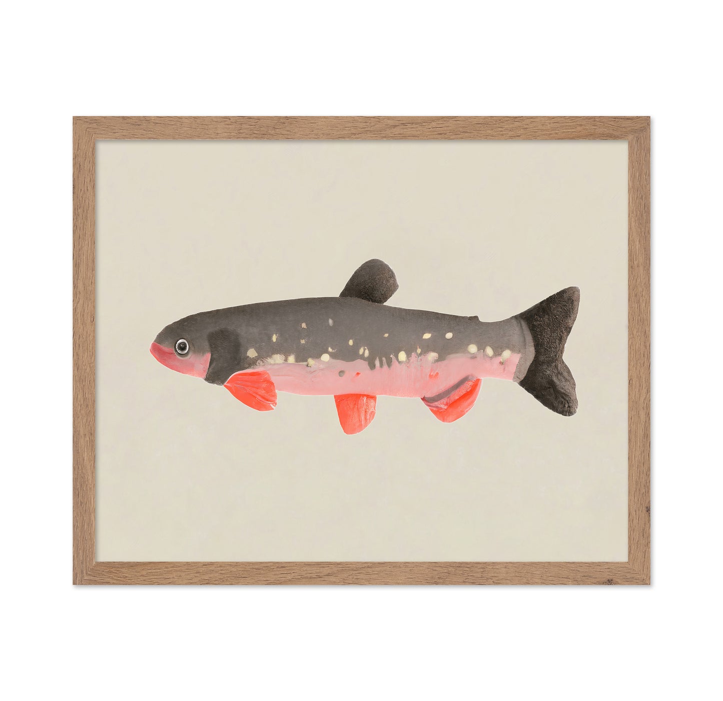 Modern Fish Illustration