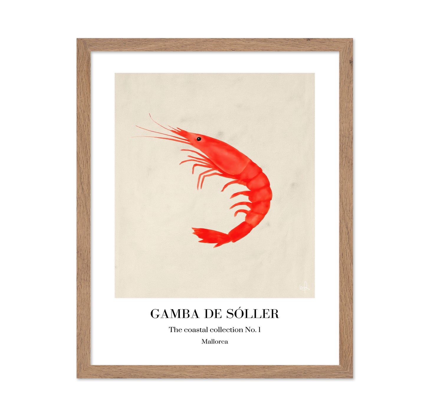 Red Shrimp Illustration