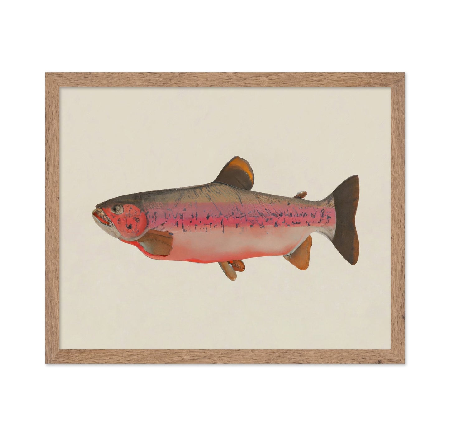 Rustic Salmon Study