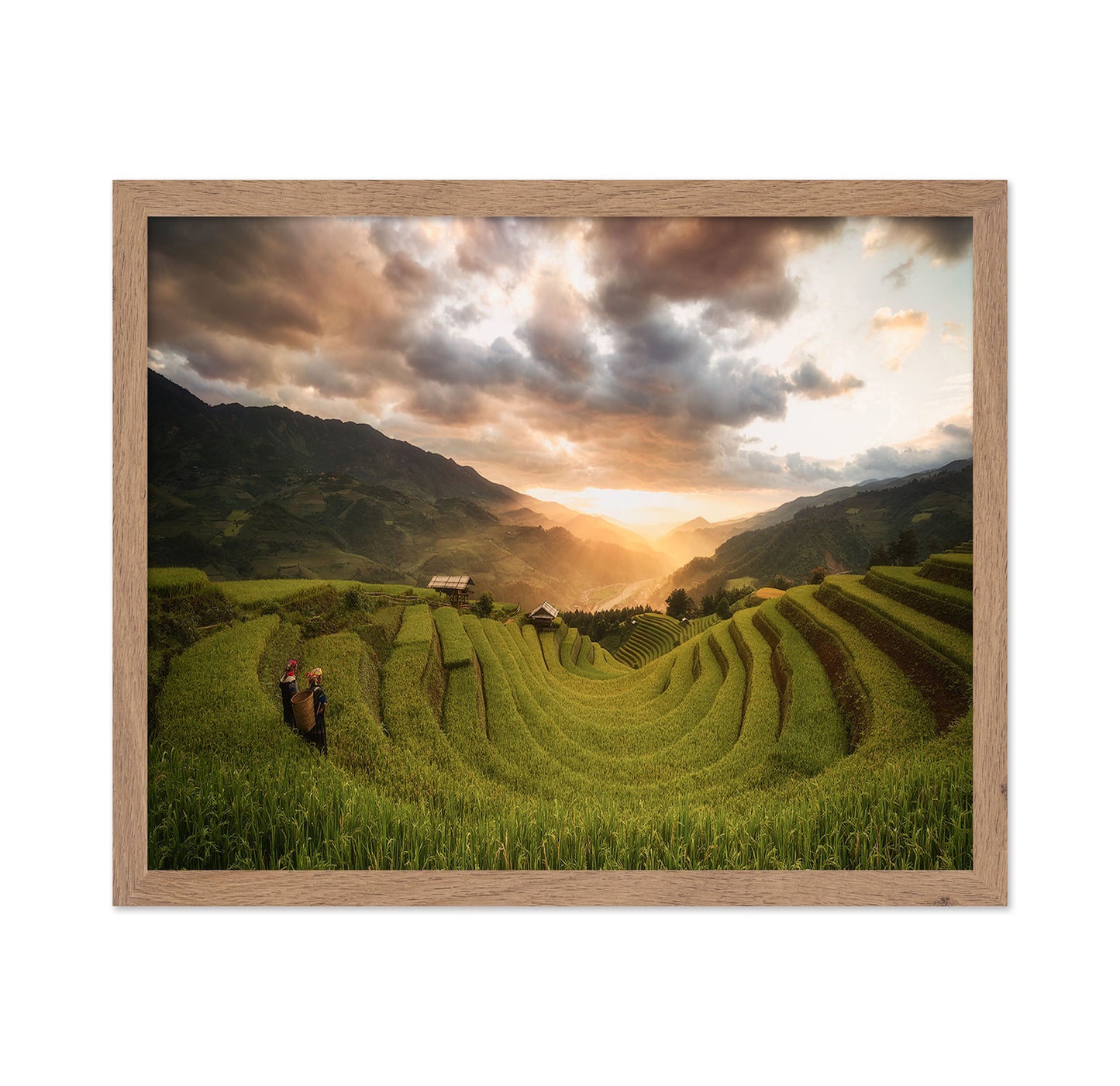 Rice Terraces Sunset