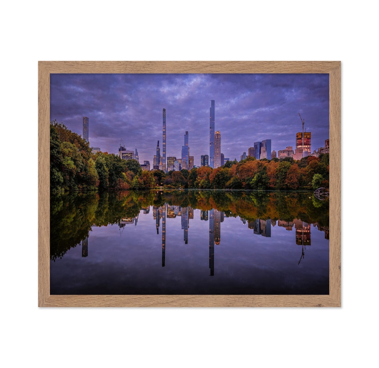 Central Park Reflection