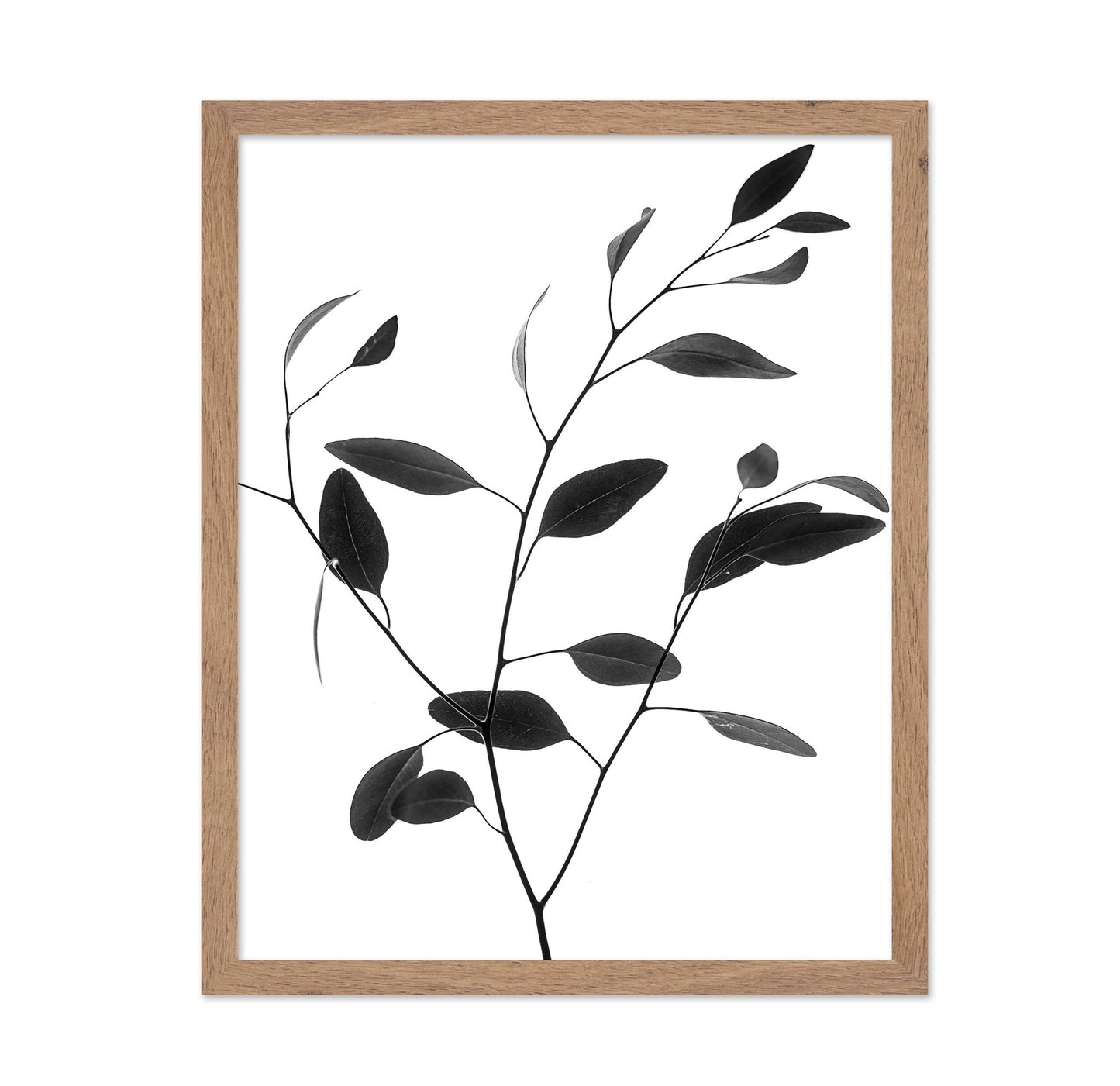 Minimal Leaf Branch No1