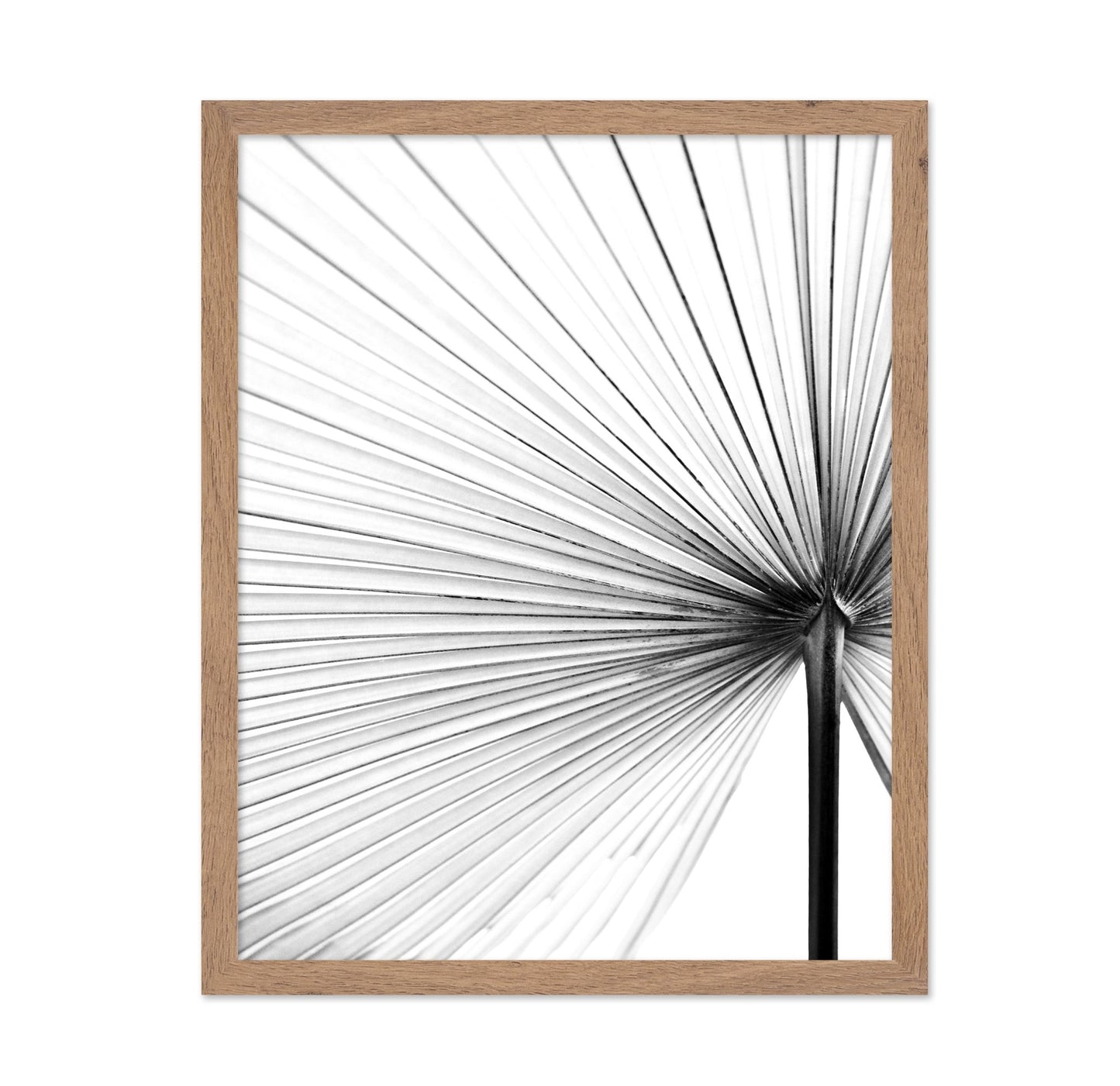 Palm Leaf Lines No2