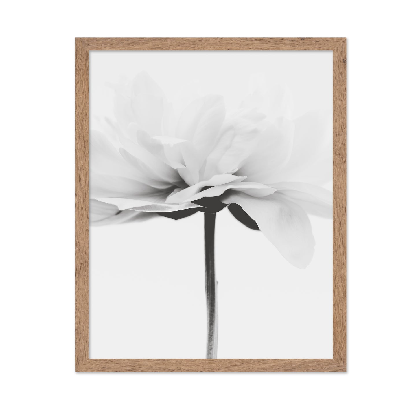Minimal Flower Stem
