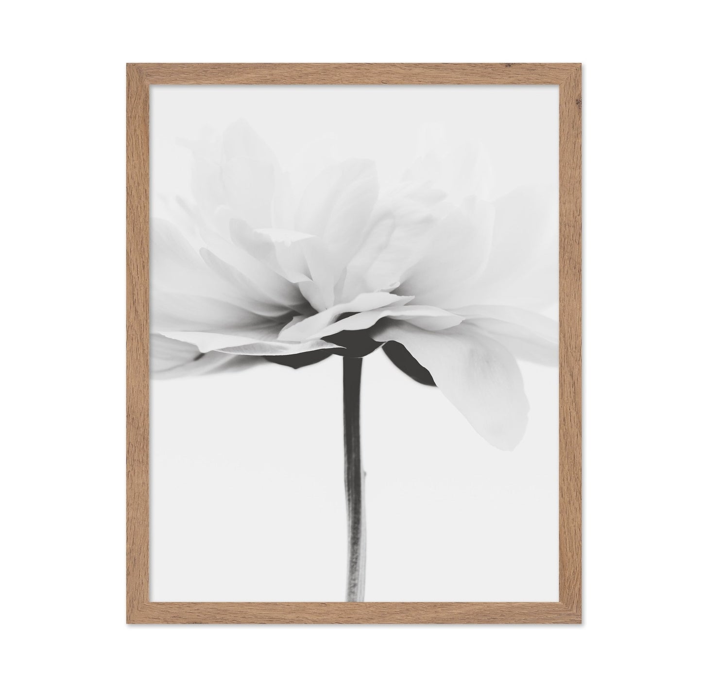 Minimal Flower Stem