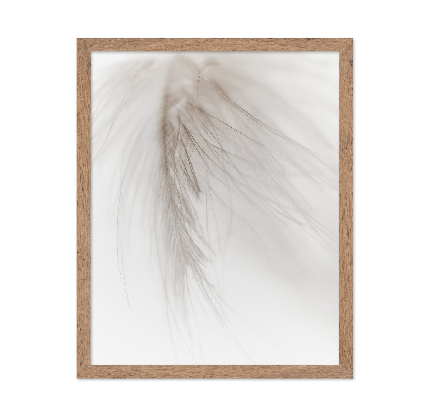 Soft Feather