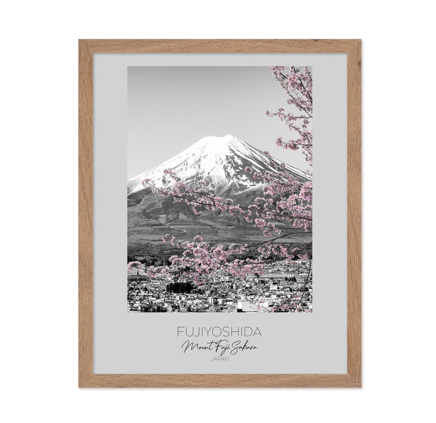 Mount Fuji Sakura View