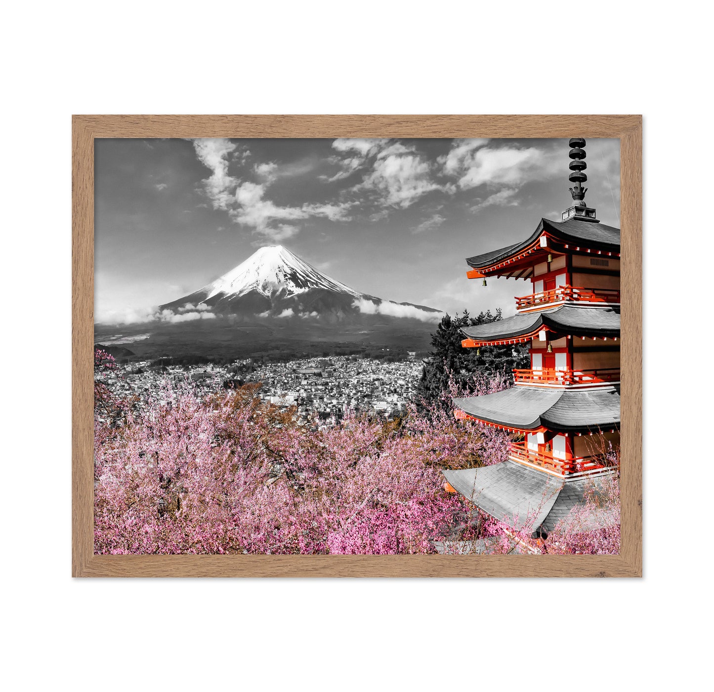 Fuji Pagoda Blossom No2