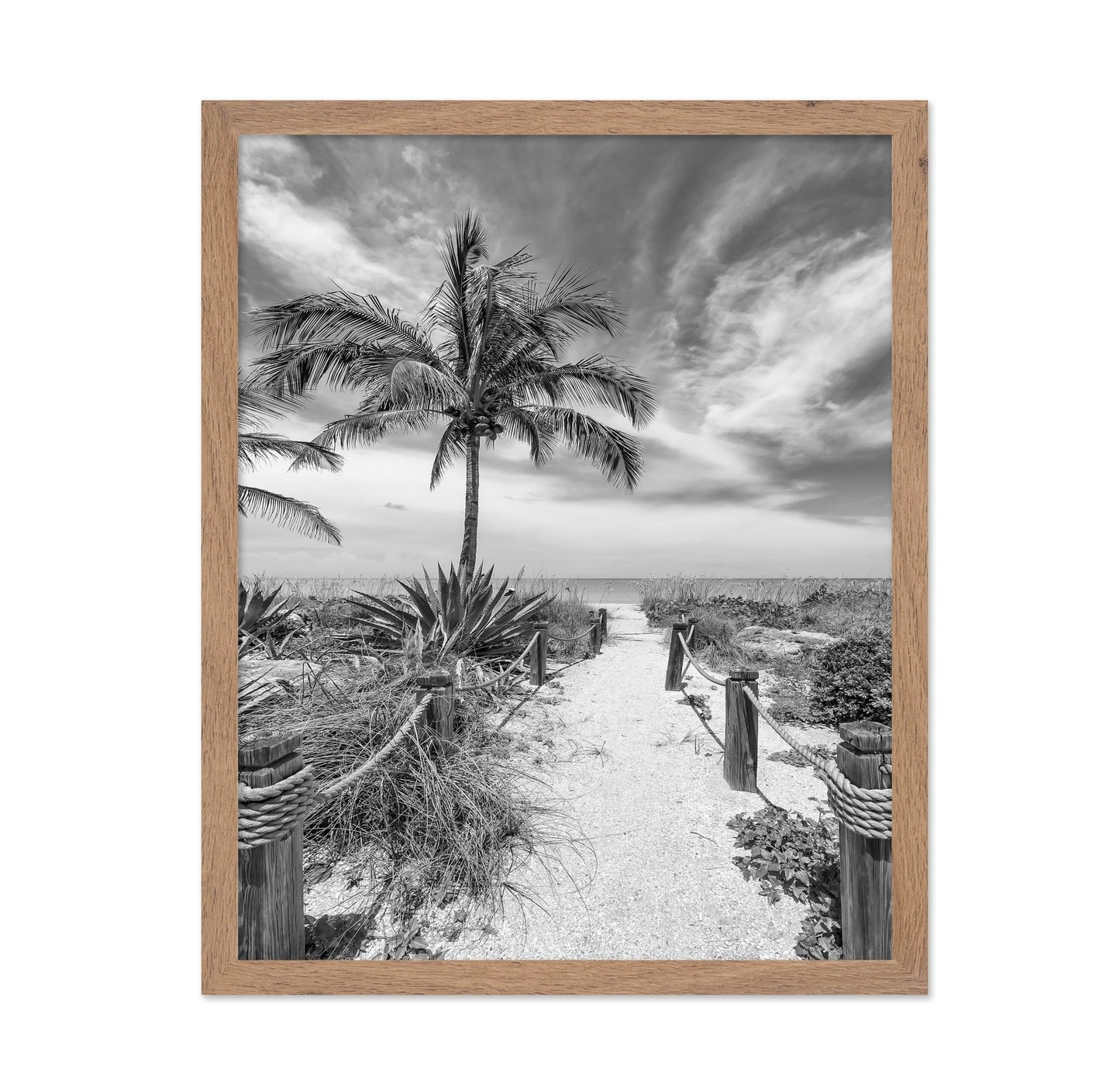 Tropical Beach Path