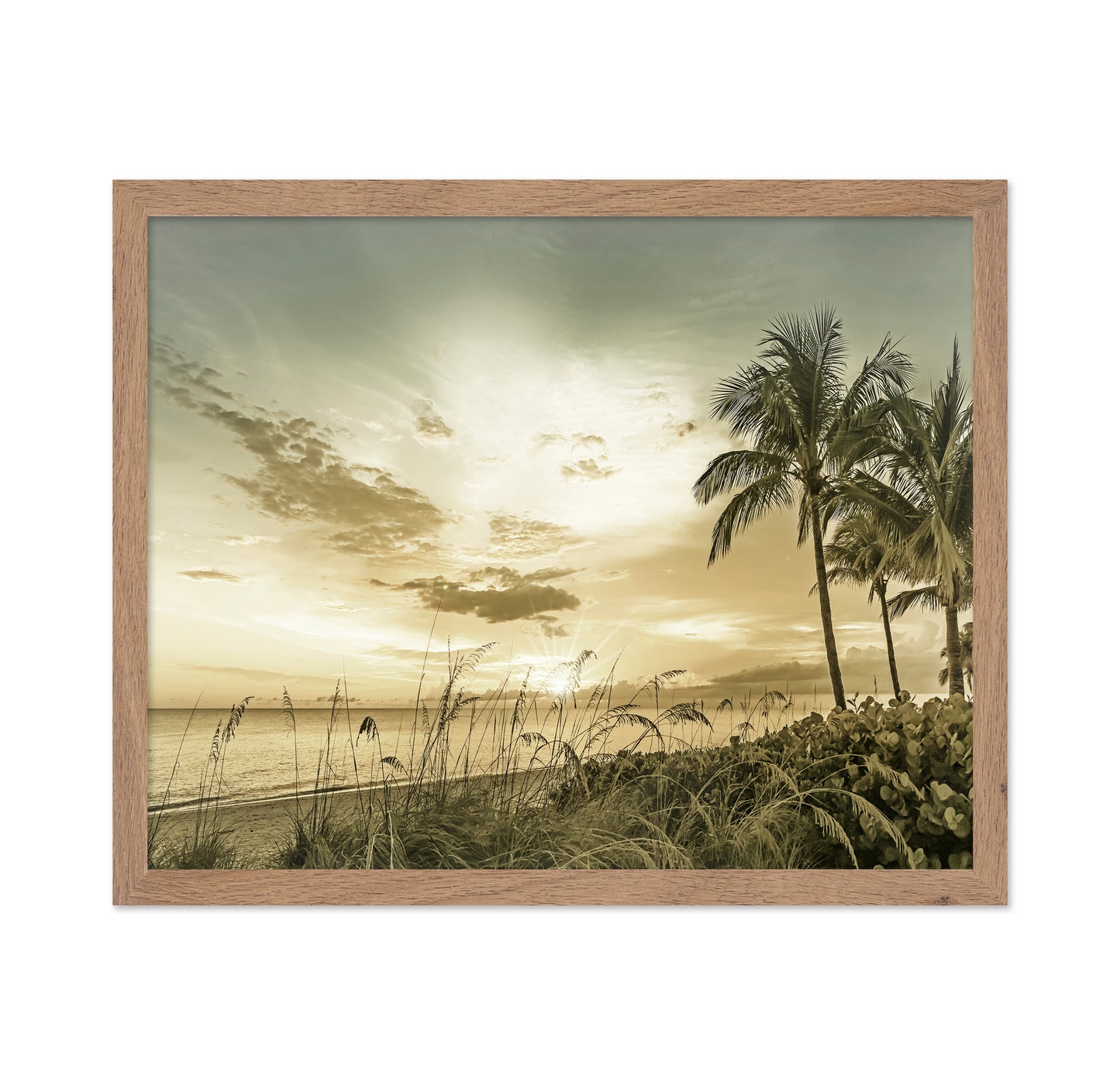 Golden Beach Sunset No1