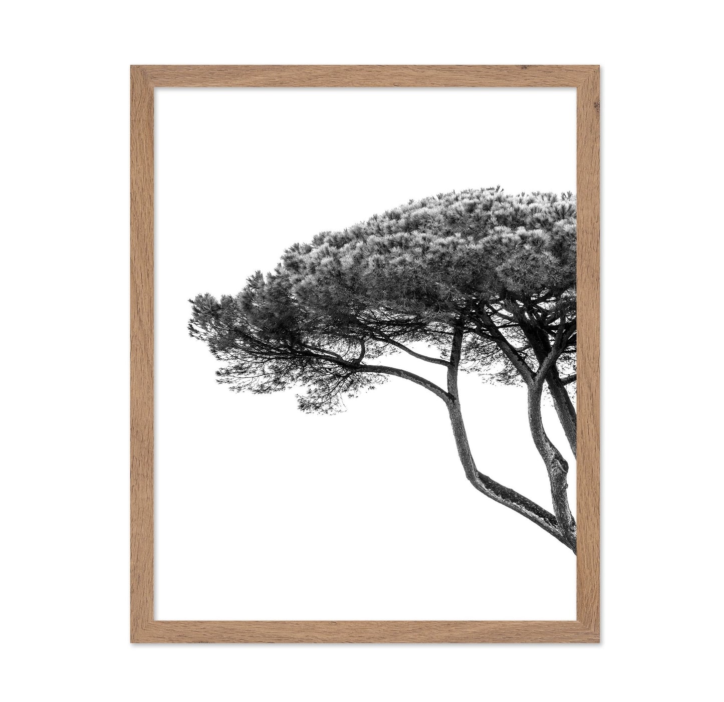Minimalist Pine Tree