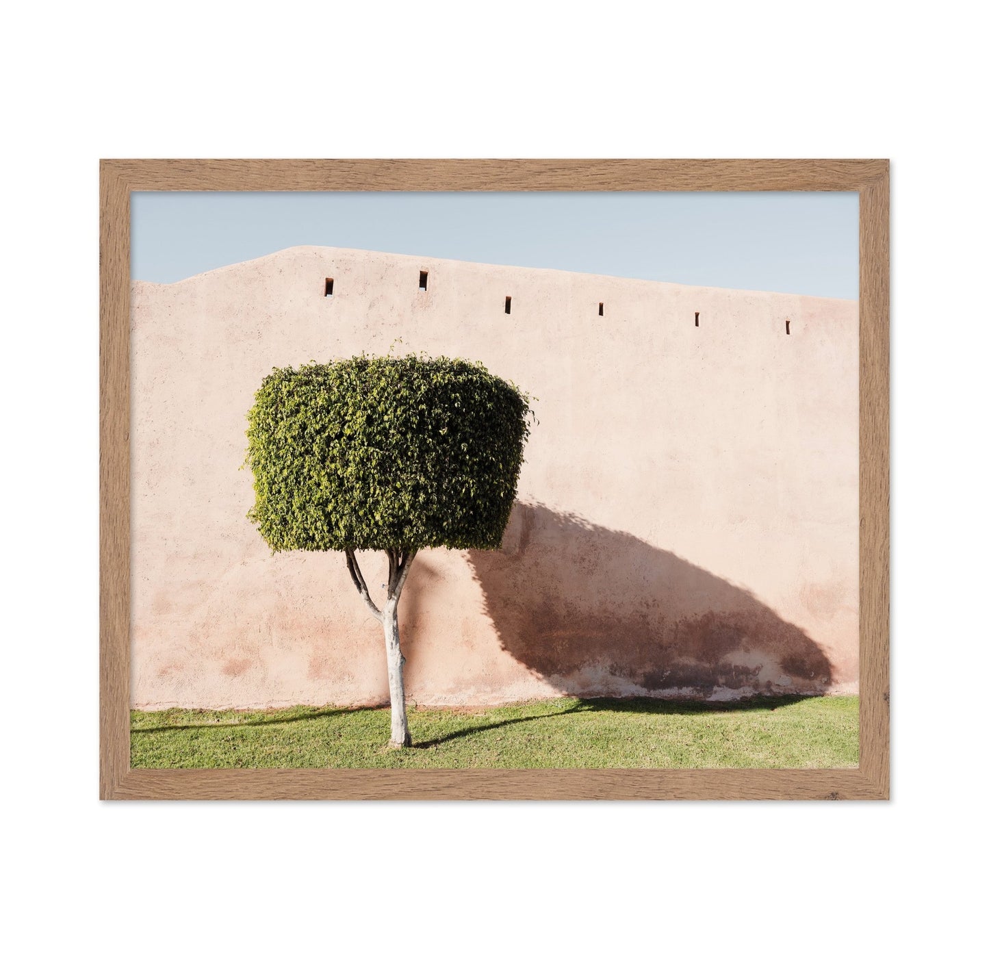 Moroccan Tree Shadow
