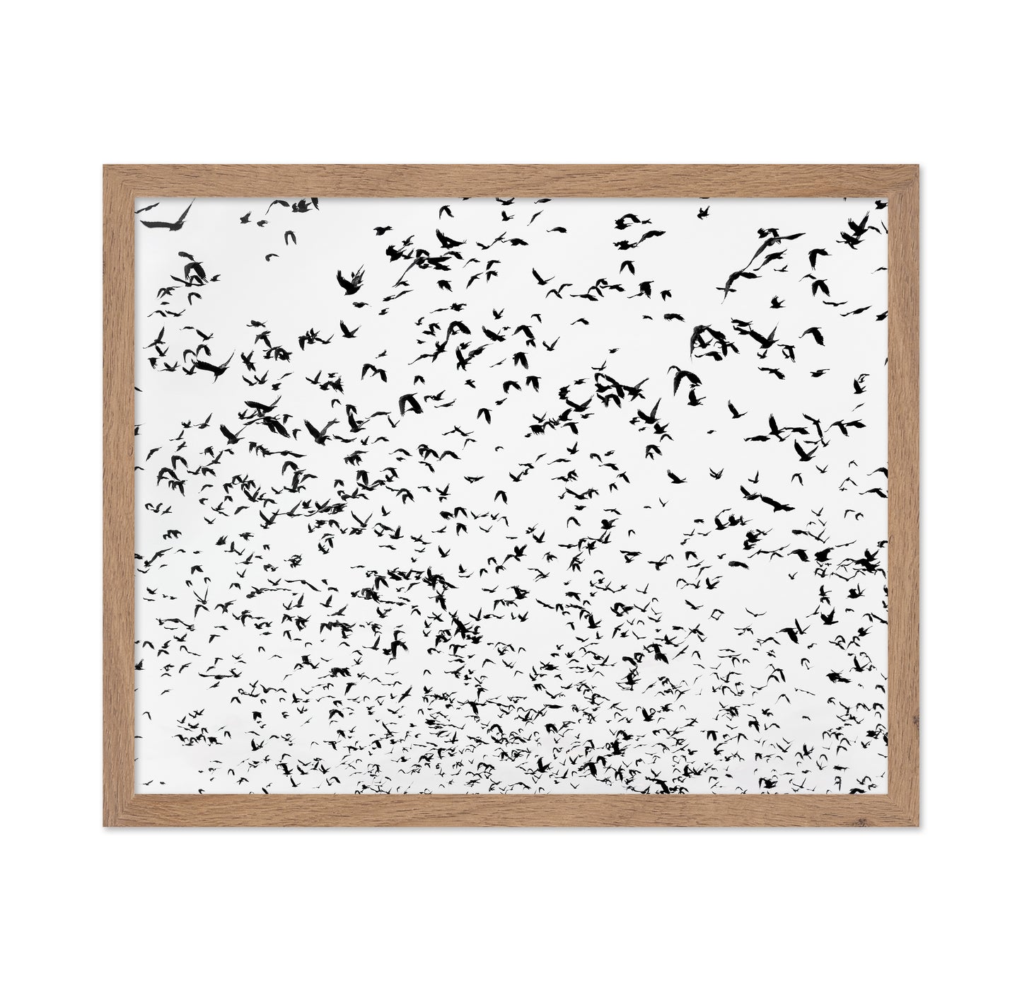 Flock In Motion