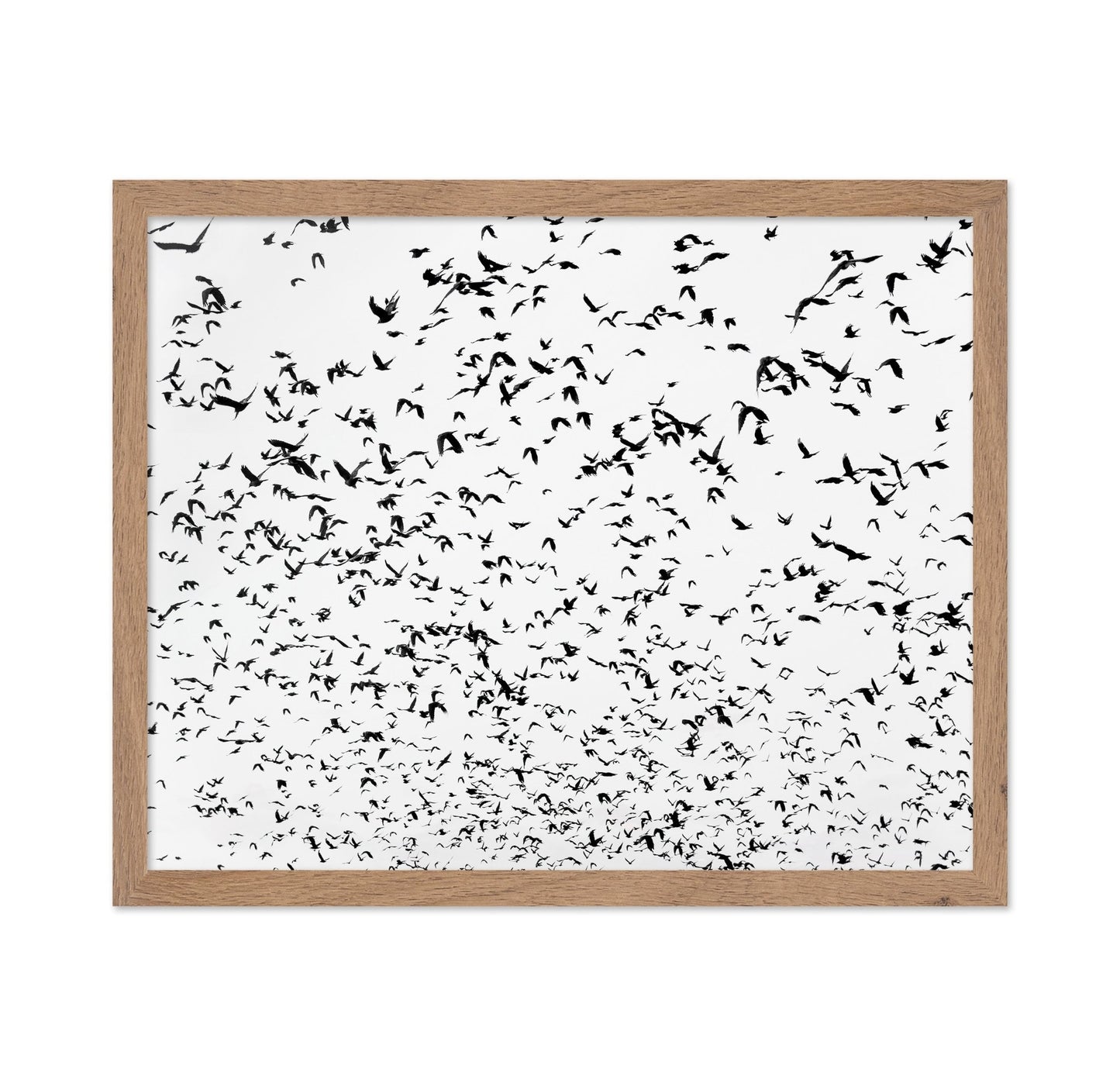 Flock In Motion