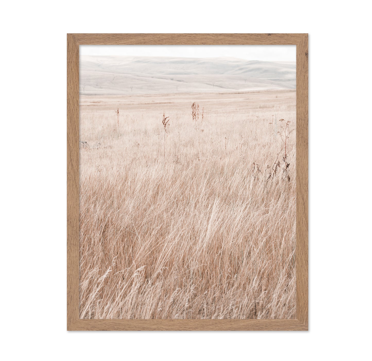 Mountain Grassland