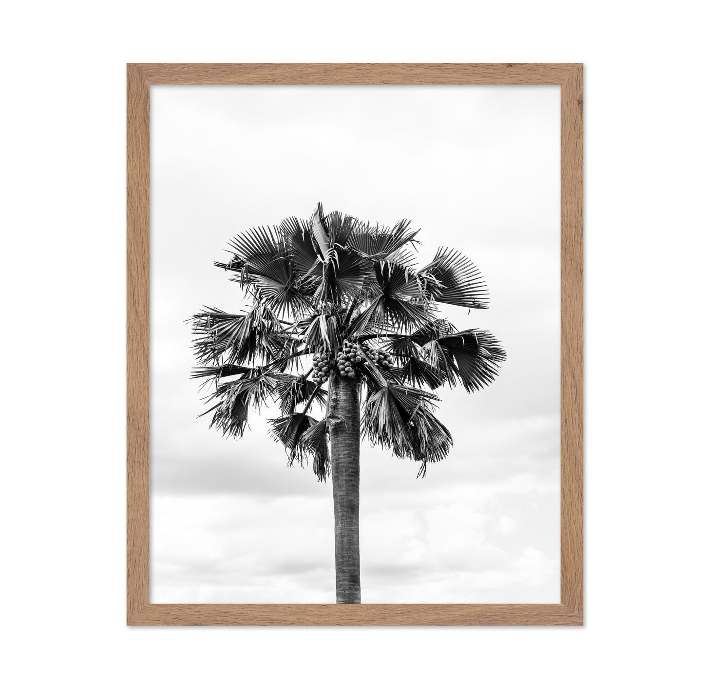 Palm Tree Monochrome