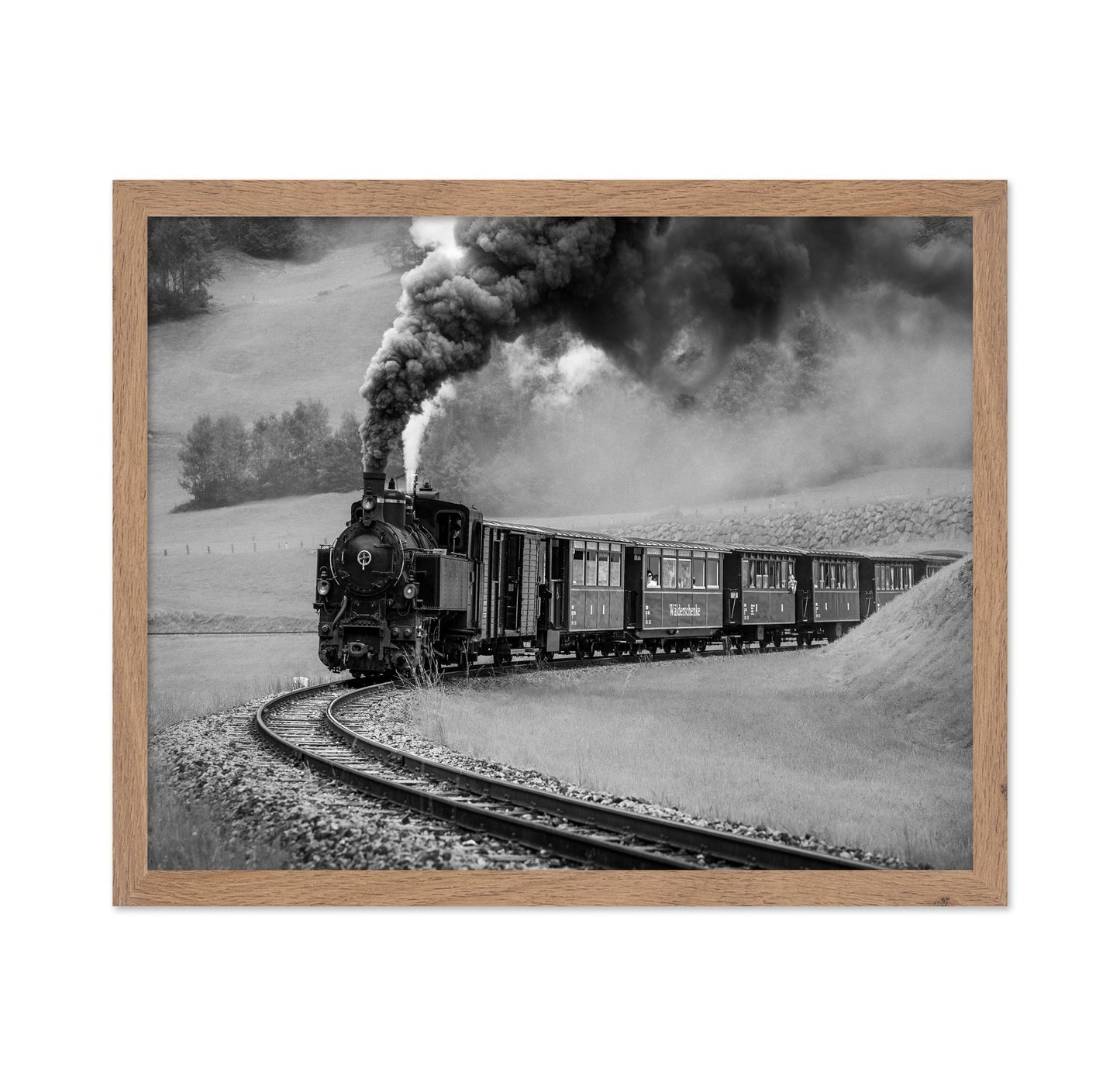 Steam Train Journey