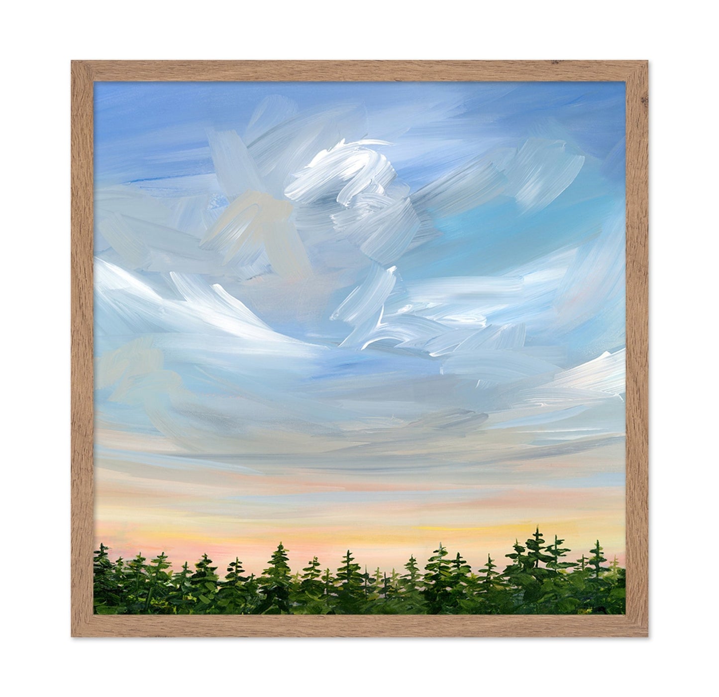 Sky Over Pine Forest