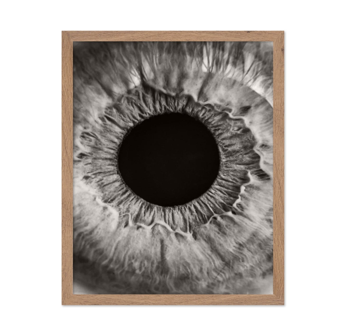 Monochrome Iris