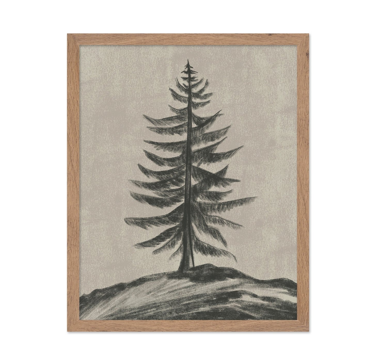 Charcoal Pine Tree Illustration