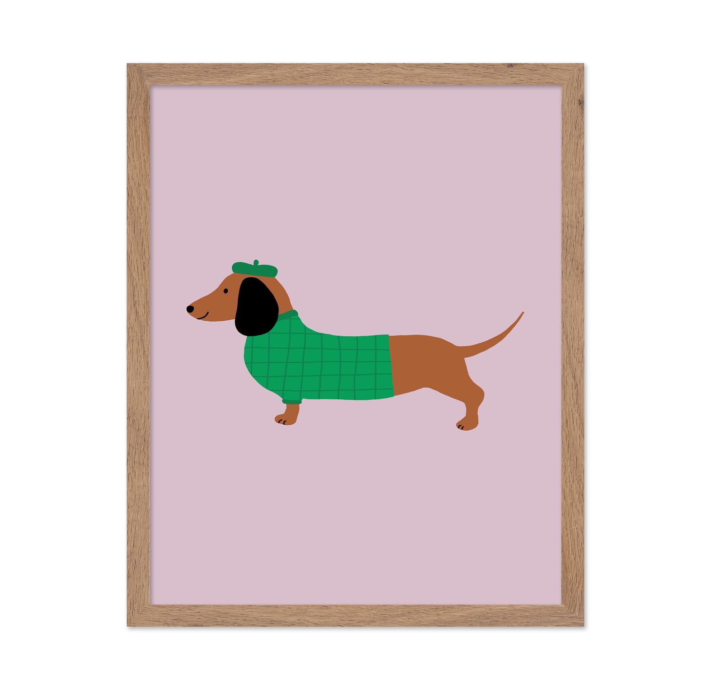 Stylish Dachshund
