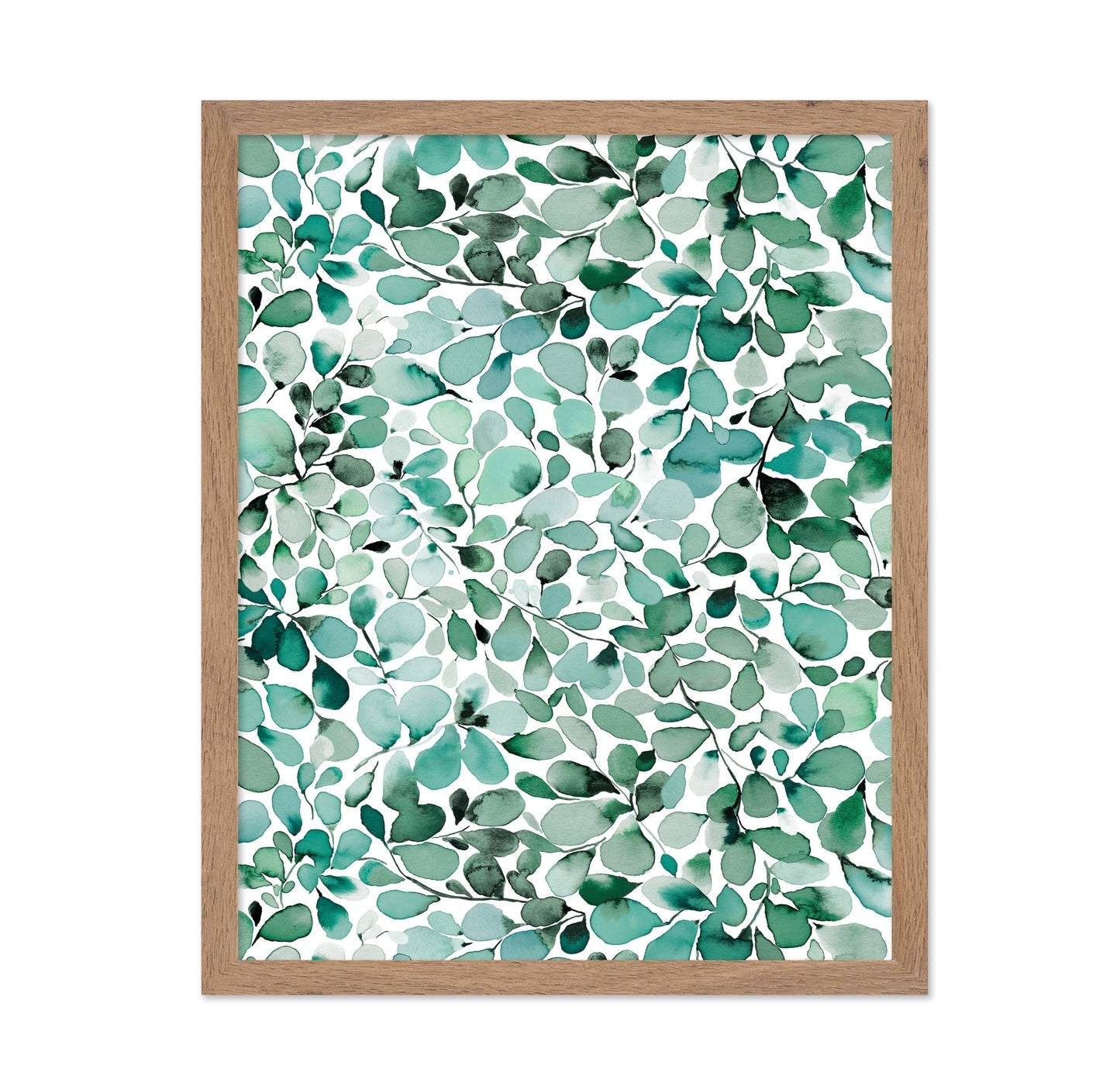 Eucalyptus Leaves