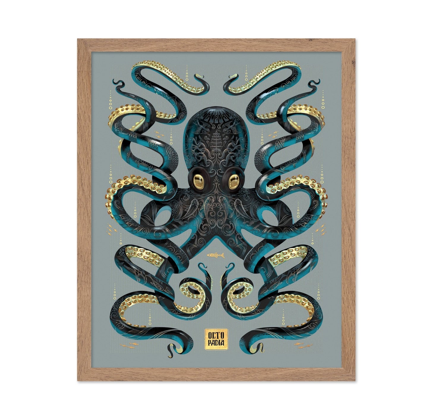 Ornate Octopus