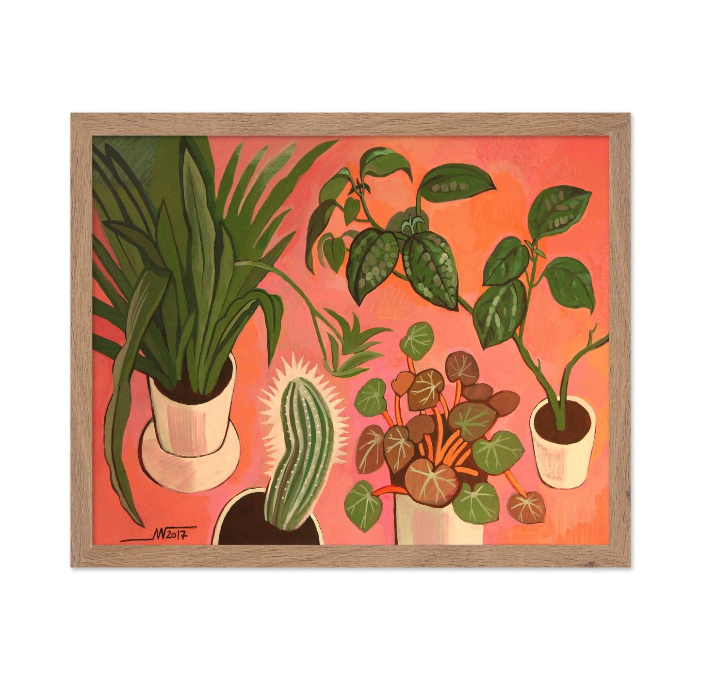 Potted Plants Collection