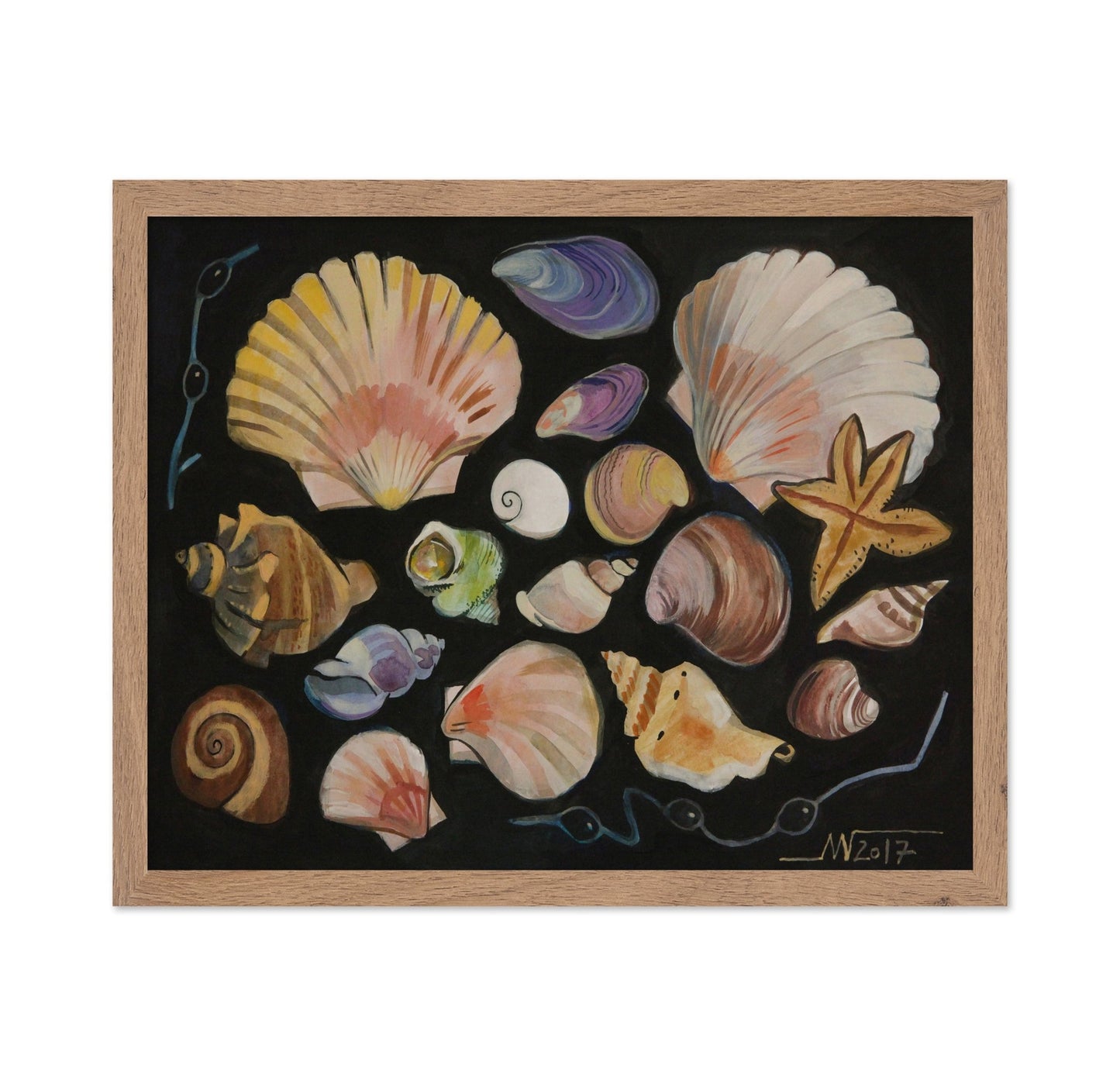 Ocean Shell Collection