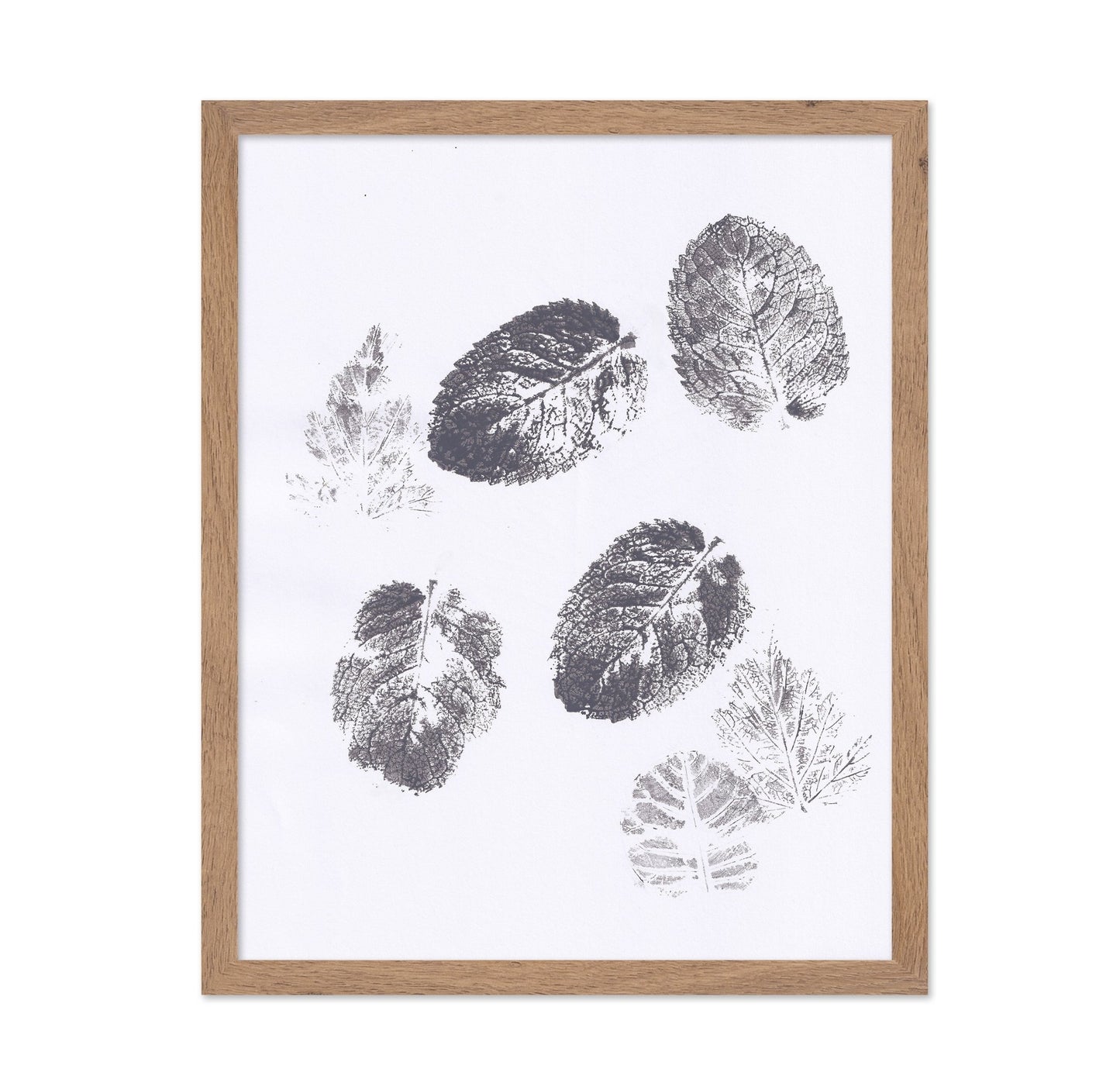 Botanical Leaf Prints No2