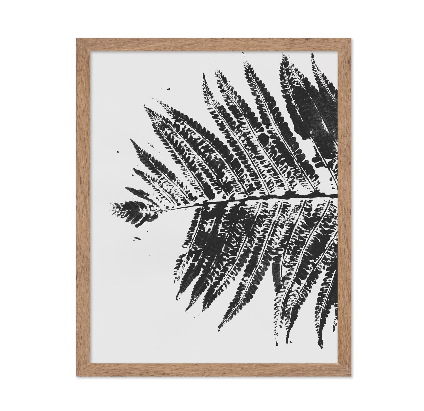 Fern Shadow Print