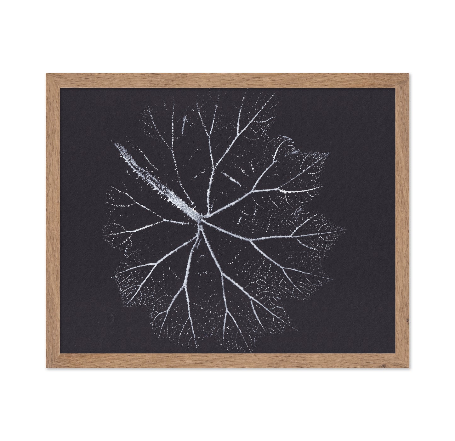 Nature Branch Fractal