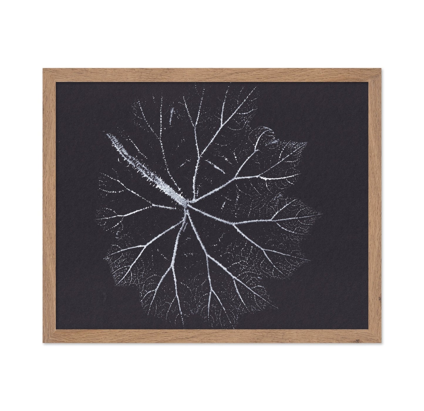 Nature Branch Fractal