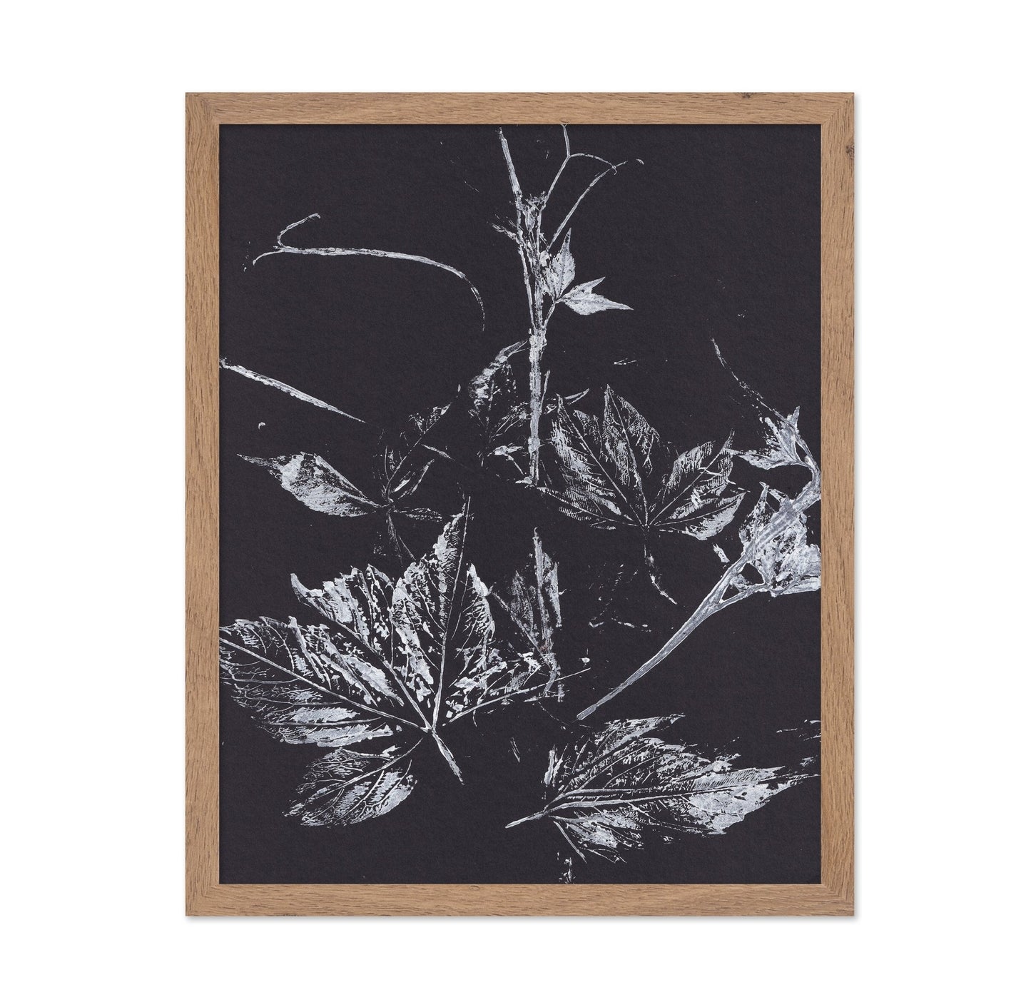 Climbing Plant Imprints