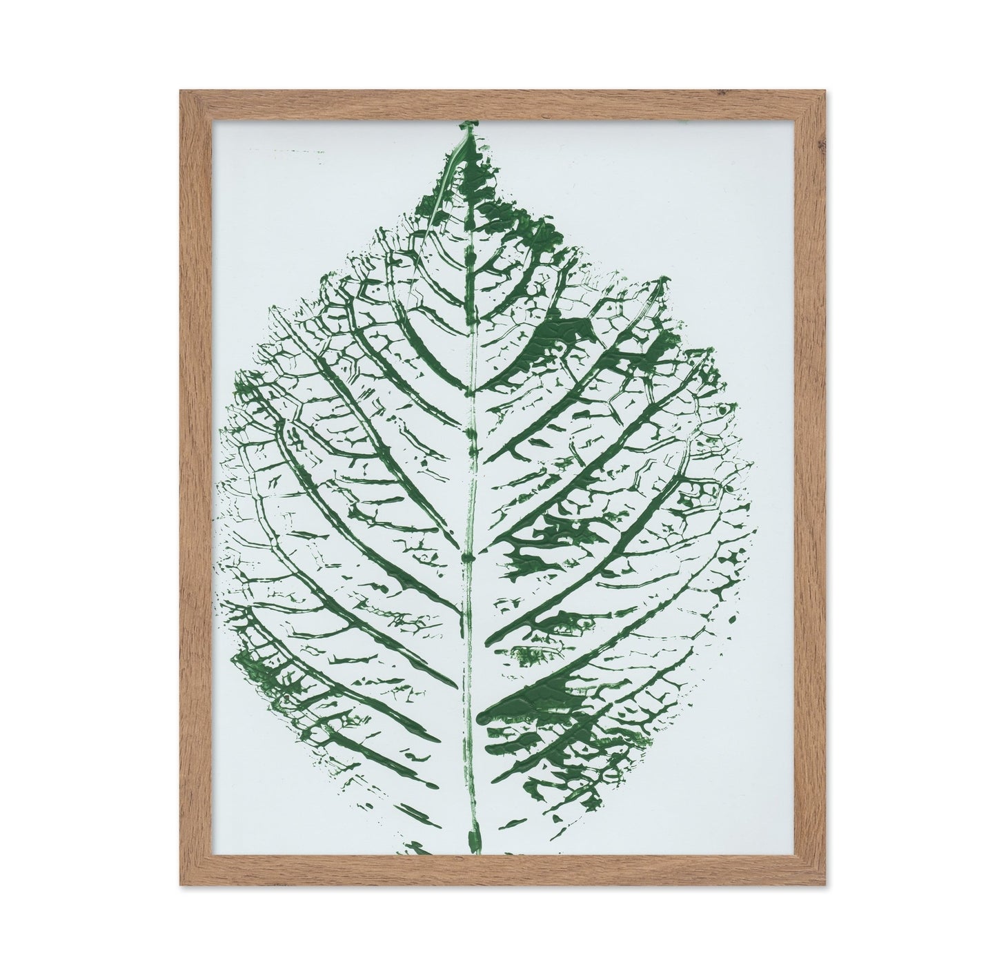 Green Leaf Veins