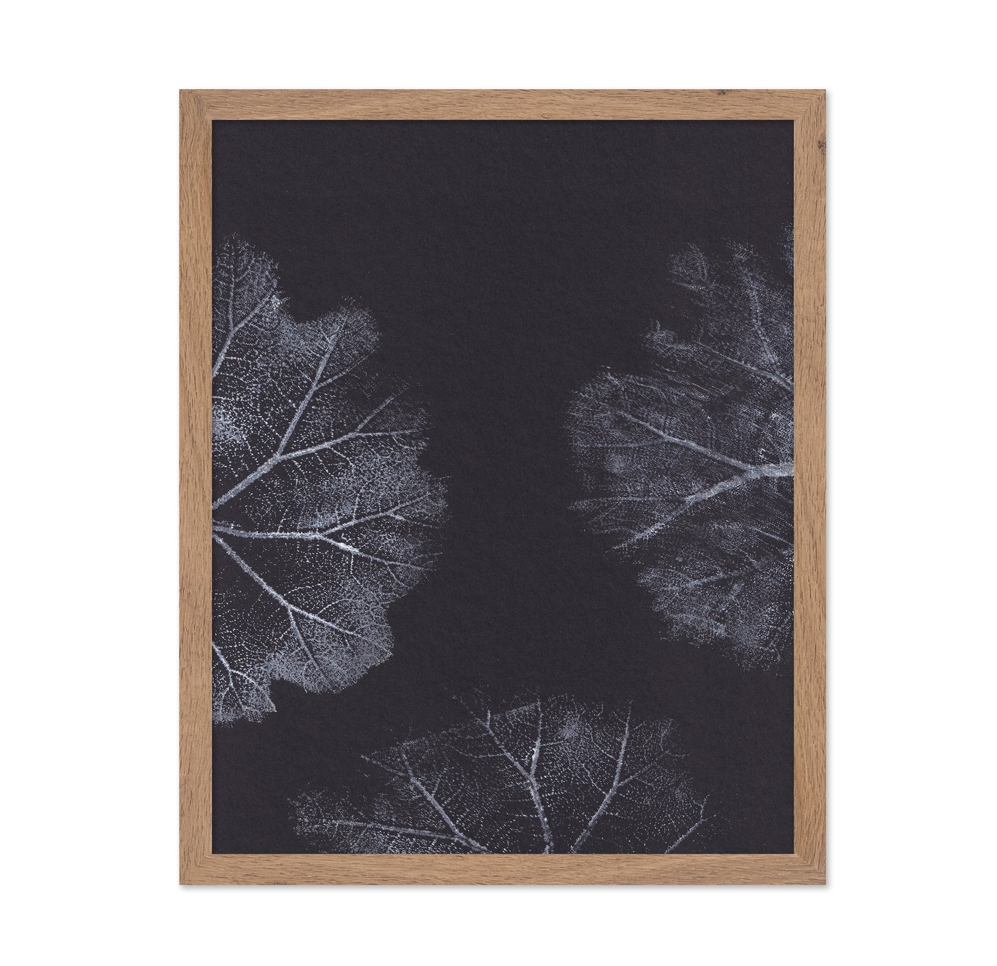 Monochrome Leaves No2