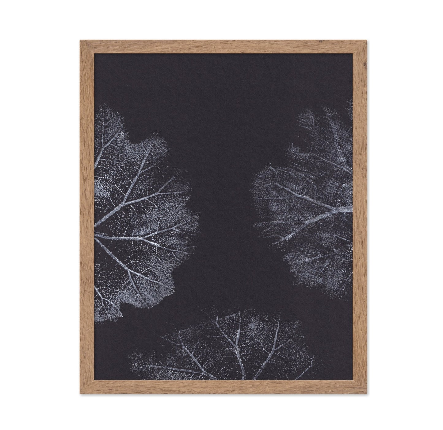 Monochrome Leaves No2
