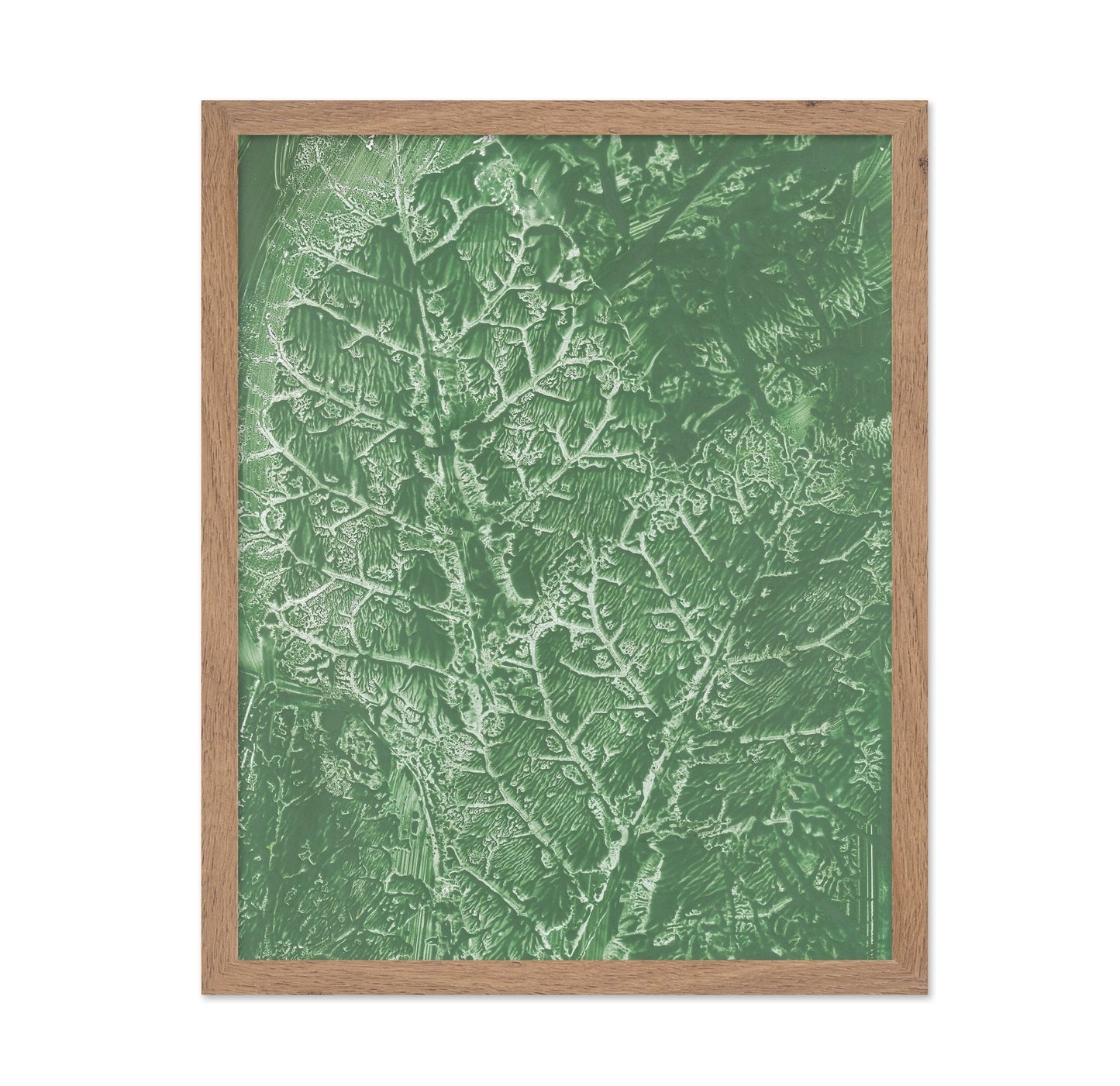 Green Vein Texture