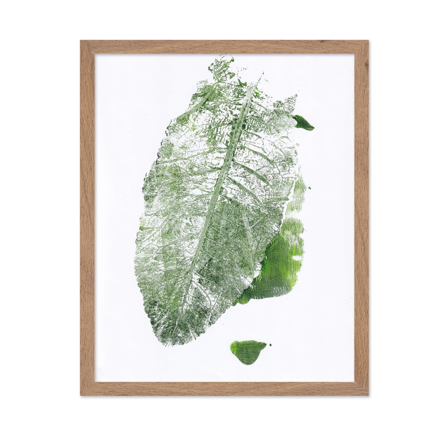 Leaf Imprint Study