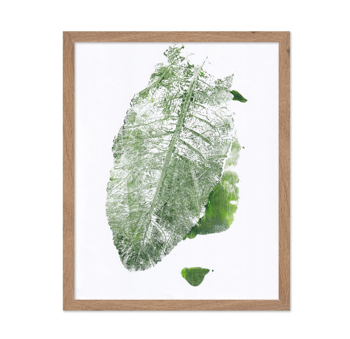 Leaf Imprint Study