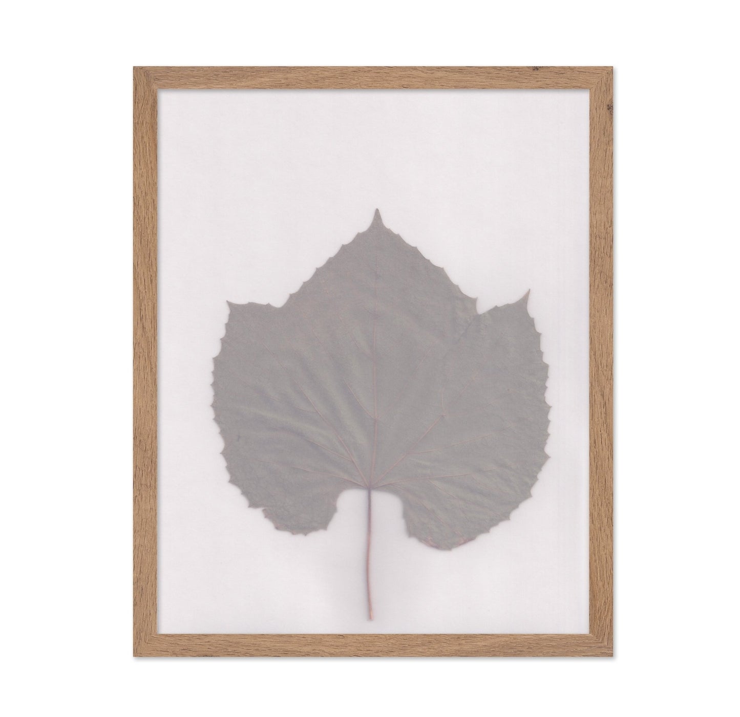 Muted Leaf No3