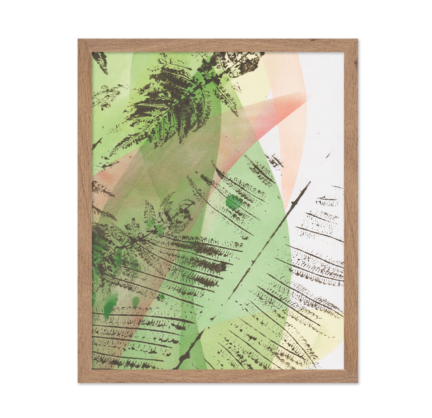 Geometric Ferns