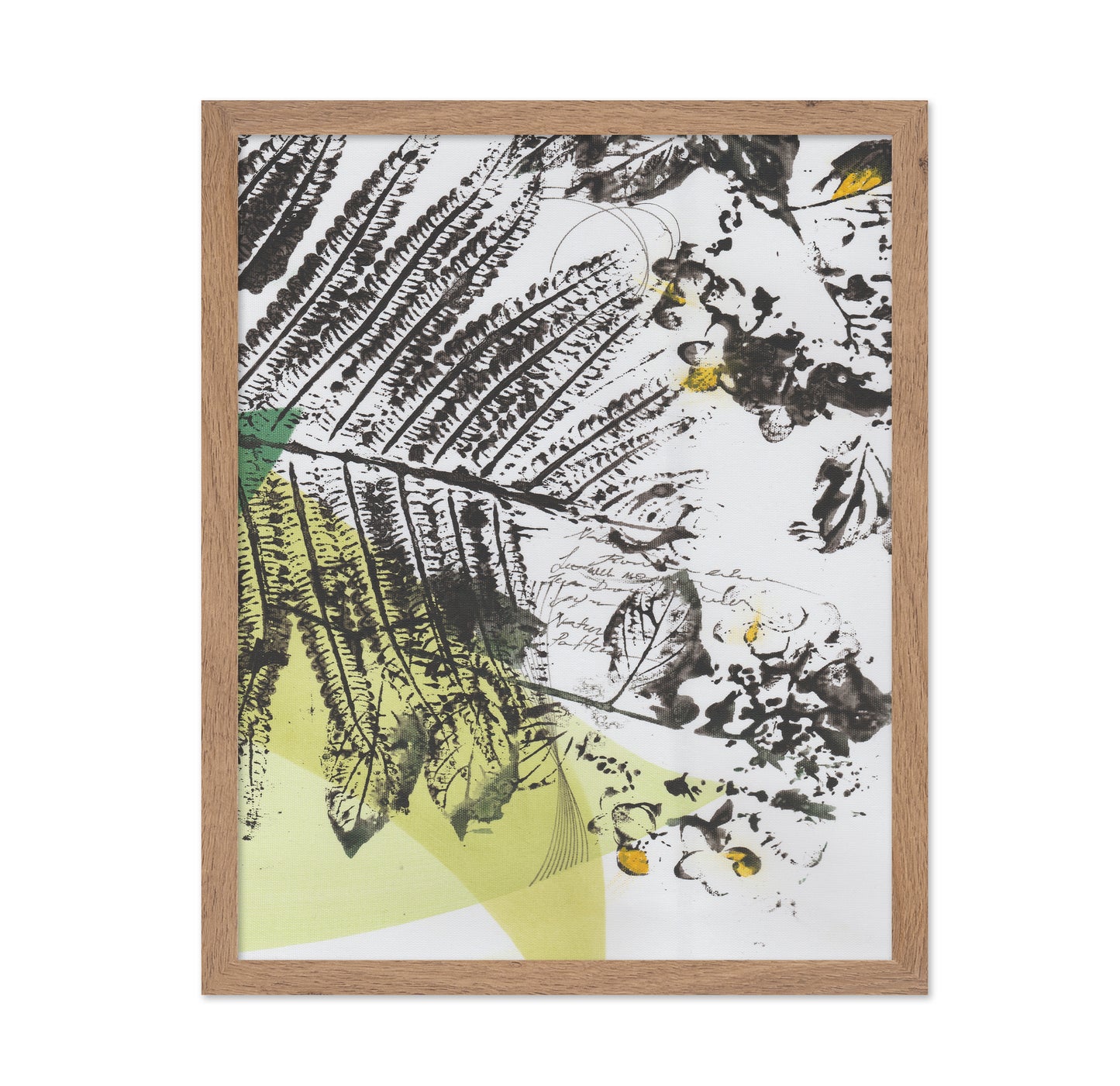 Botanical Sketch