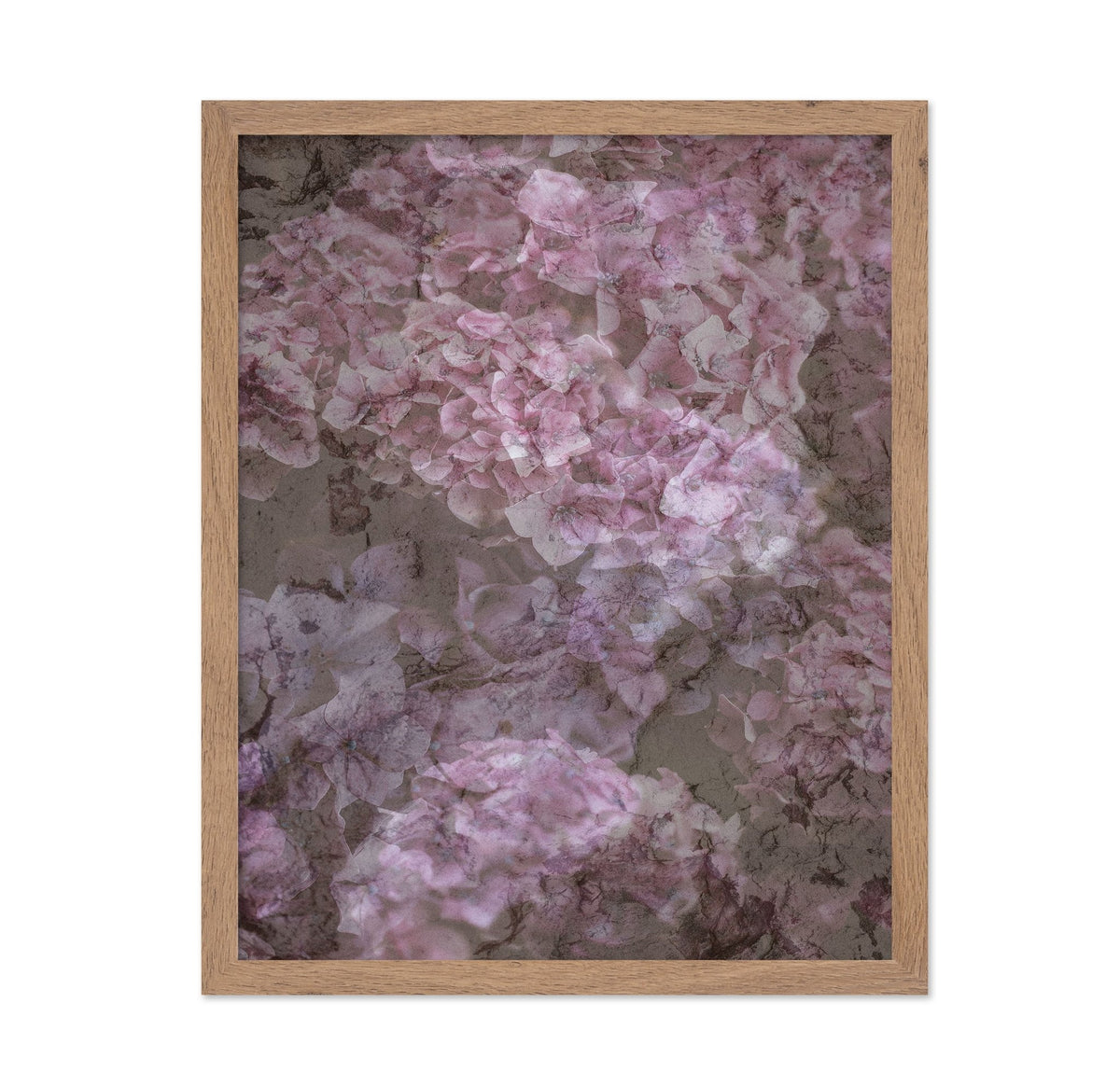 Blush Bloom