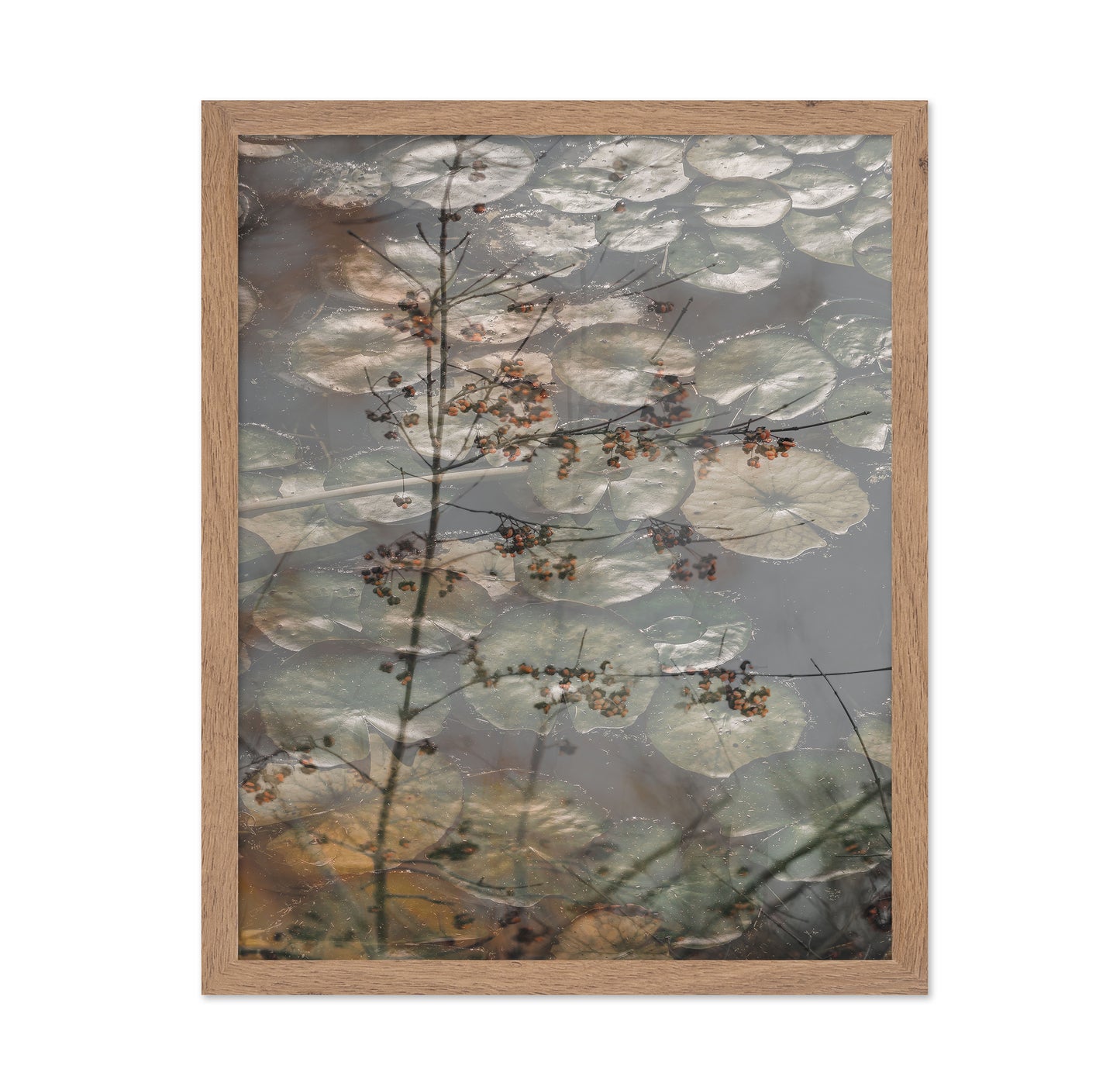 Quiet Pond