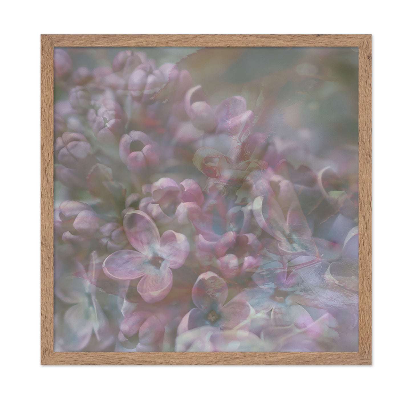 Soft Pastel Blossoms