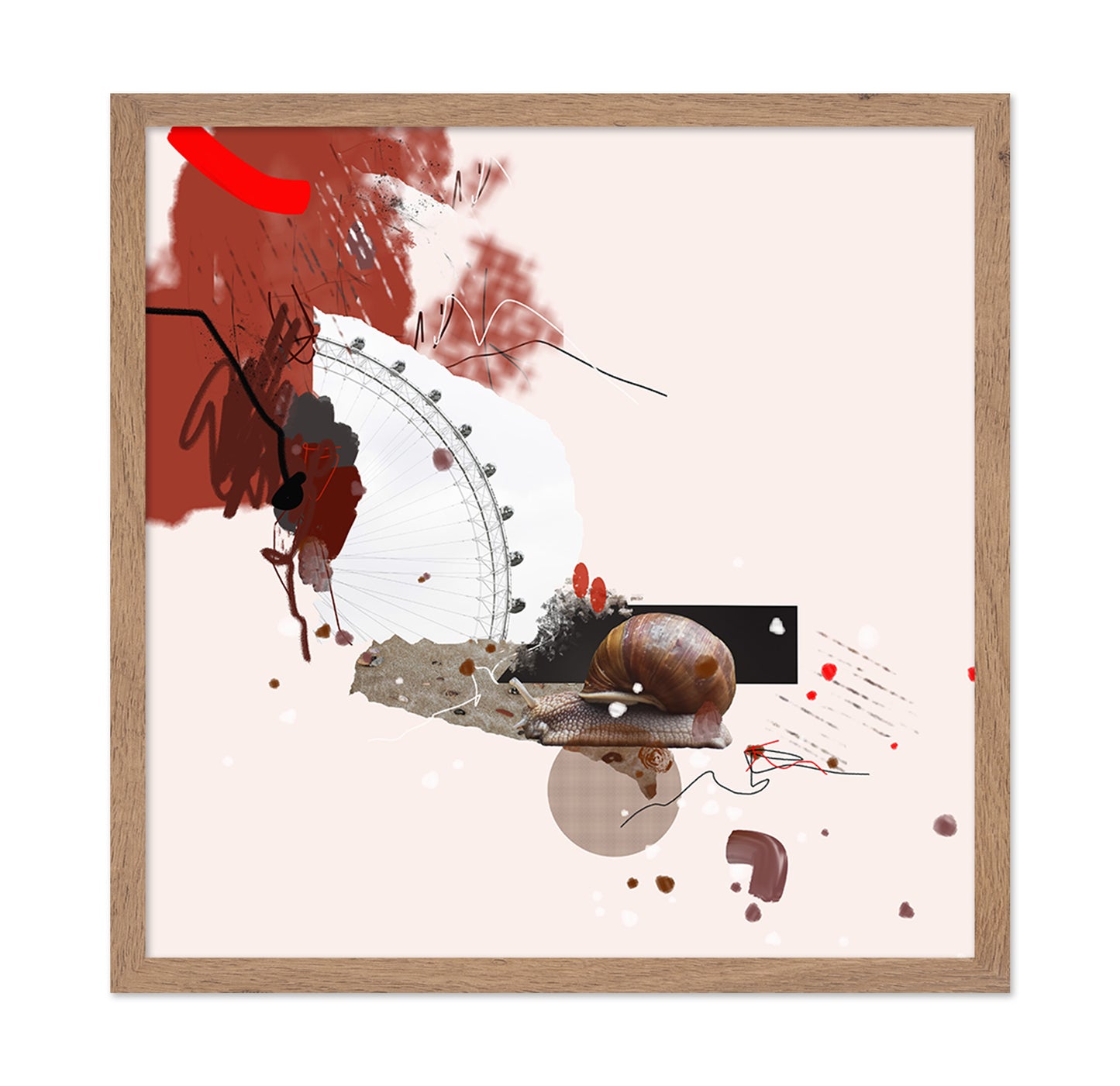 Urban Snail Collage