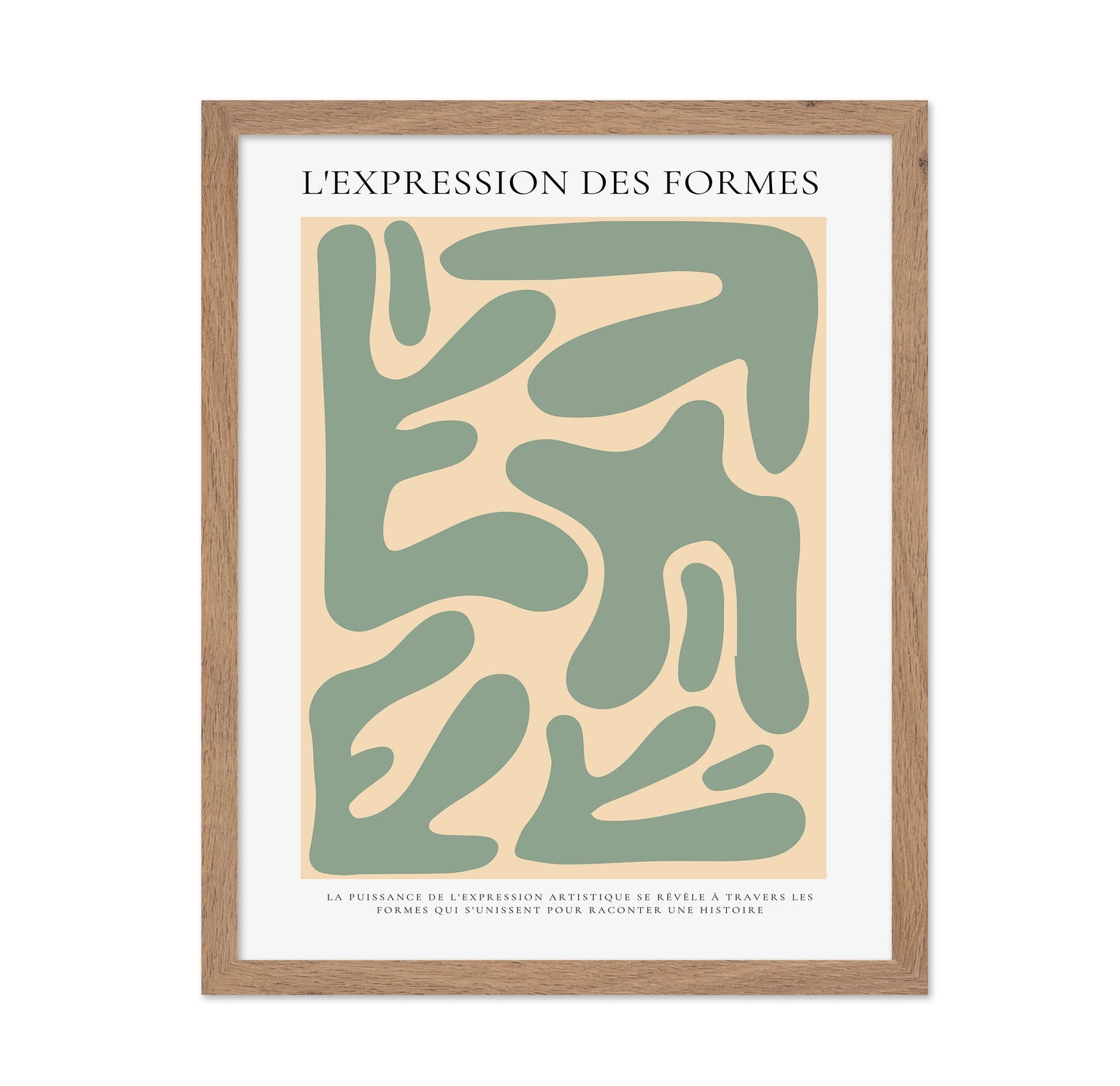 Organic Shapes No2