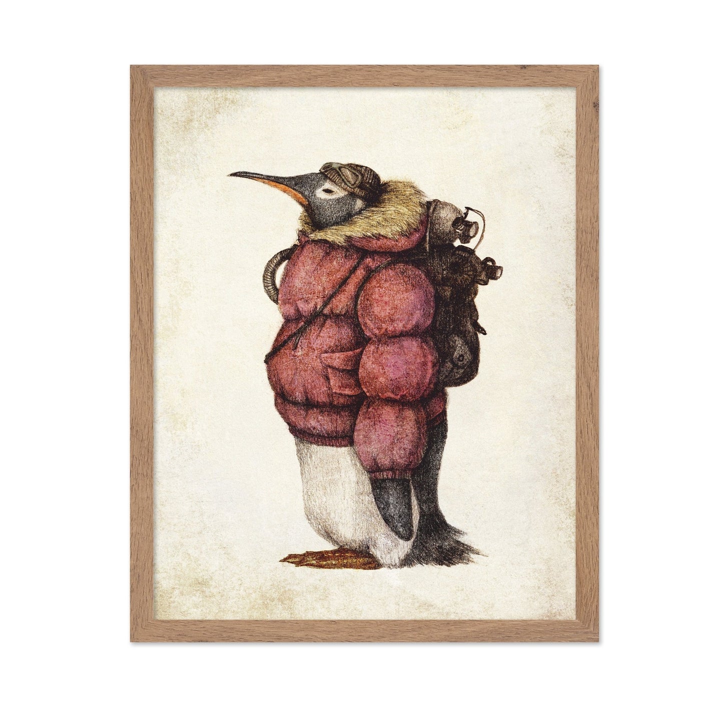 Adventurer Penguin