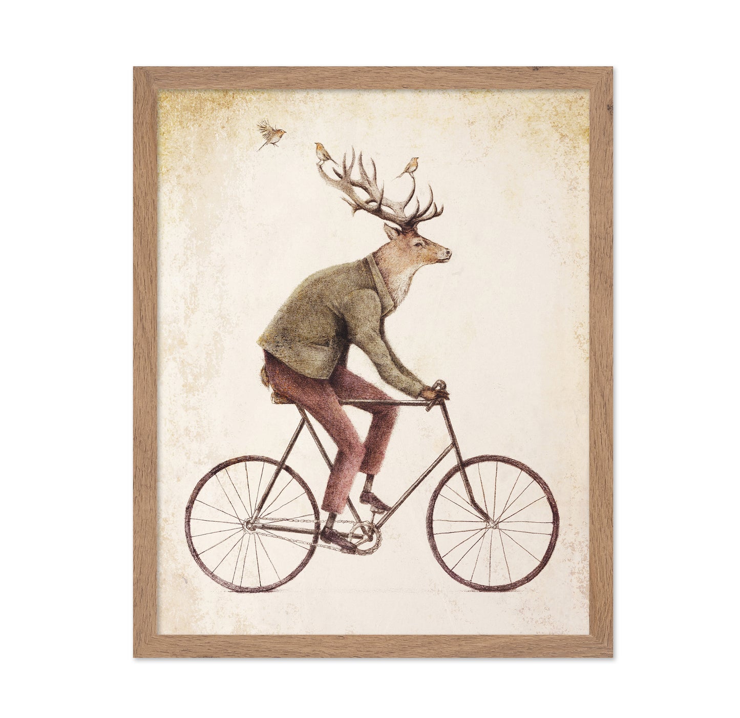Gentle Rider